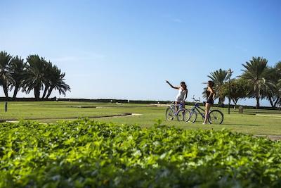 گلدن تولیپ الجزیره هتل اند ریزورت