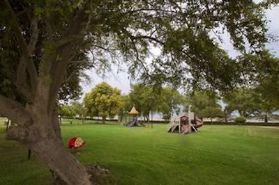 گلدن تولیپ الجزیره هتل اند ریزورت