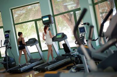 گلدن تولیپ الجزیره هتل اند ریزورت