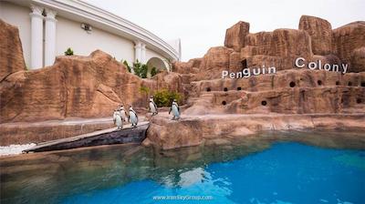 لندآف لجند کینگدام هتل