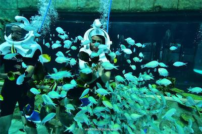 لندآف لجند کینگدام هتل