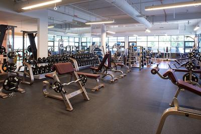 کریک ساید هتل دبی ان اکور