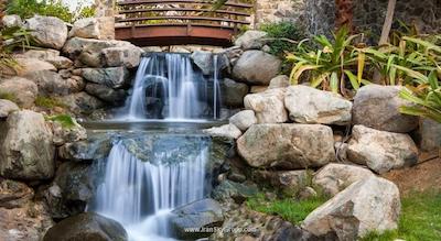 جا پالم تری کورت اند اسپا