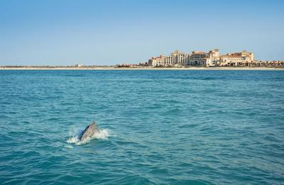 ست رجیس سعدیات آیلند ریزورت، ابوظبی