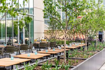 حیات ریجنسی مک کورمیک پلیس