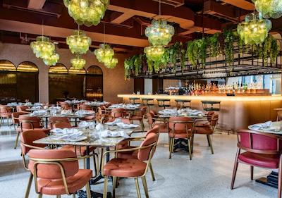 آنان تارا داون تاون دوبی