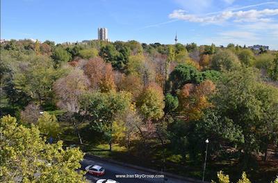 هتل پتیت پالاس ساوی آلفنسُ کسیی