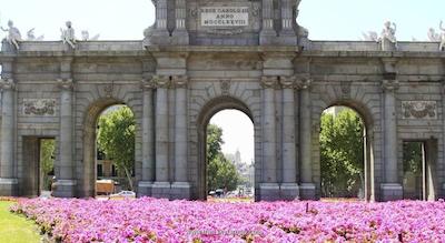 هتل پتیت پالاس ساوی آلفنسُ کسیی