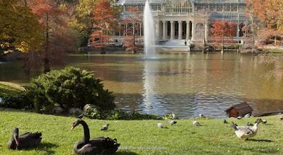 هتل پتیت پالاس ساوی آلفنسُ کسیی