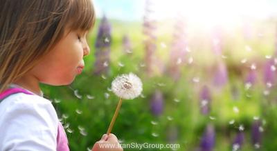 تایم کریستال هتل آپارتمان