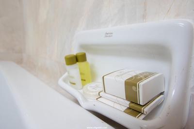 دمسُن رسیدنس-رامخامهانگ