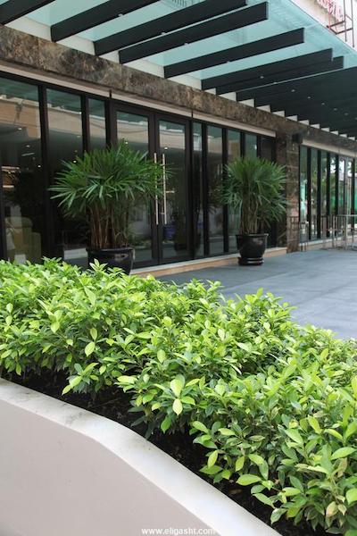 دمسُن رسیدنس-رامخامهانگ