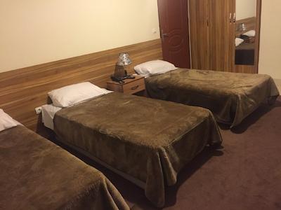 هتل ایران پارک