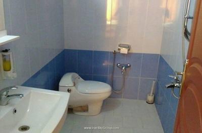 هتل ایران پارک