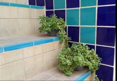 هتل سنتی نیایش شیراز