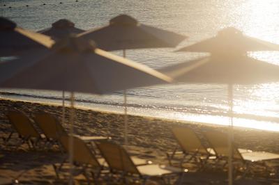 استور گاردن هتل