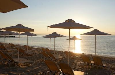 استور گاردن هتل