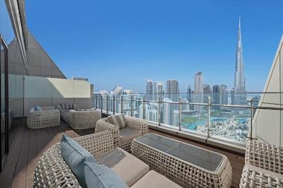 داماک میسون دیستینکشن