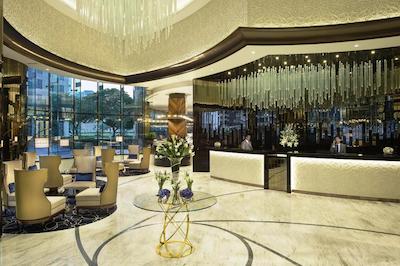 داماک میسون دیستینکشن