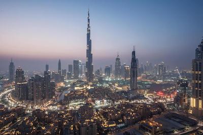 داماک میسون دیستینکشن