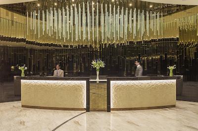 داماک میسون دیستینکشن