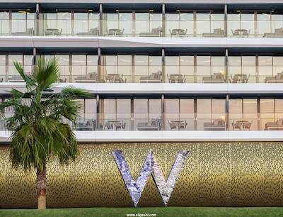 دبلیو دبی د پالم