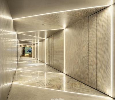 دبلیو دبی د پالم