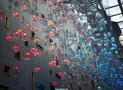 دبلیو دبی د پالم