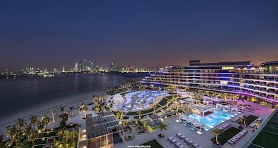 دبلیو دبی د پالم