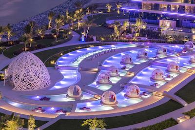 دبلیو دبی د پالم