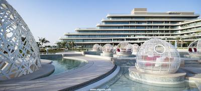 دبلیو دبی د پالم