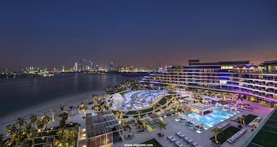 دبلیو دبی د پالم