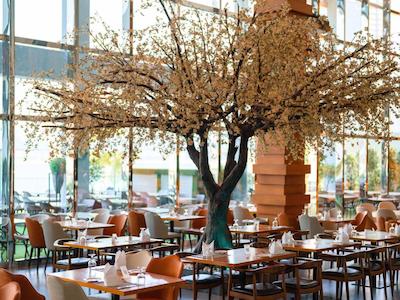 کانال سنترال هتل