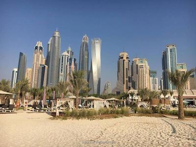 رودا لینکس ال نصر