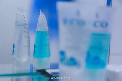 نیو پالاس شاردنی