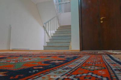 نیو پالاس شاردنی