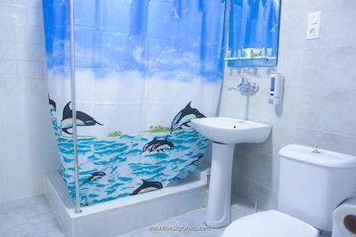 نیو پالاس شاردنی