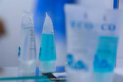 نیو پالاس شاردنی