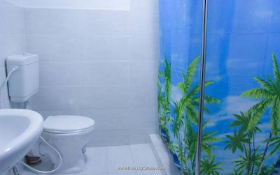 نیو پالاس شاردنی