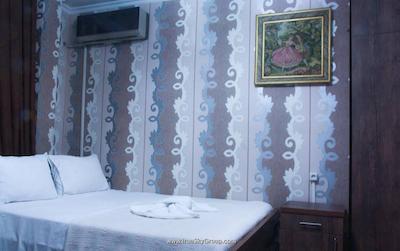 نیو پالاس شاردنی