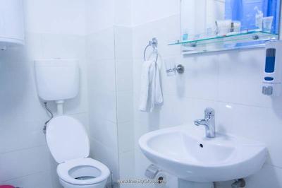 نیو پالاس شاردنی