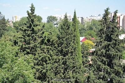 ال پلازا هتل