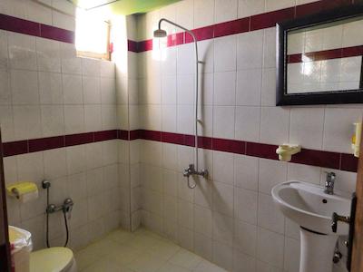 هتل الماس رفسنجان