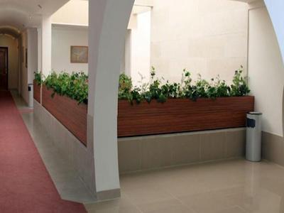 هتل نقش شاپور داراب