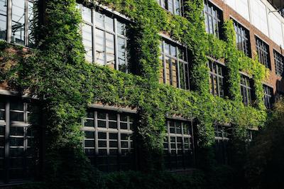 استامبا هتل