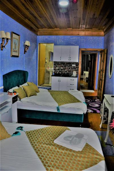 استانبول د تریپ هتل اولد سیتی