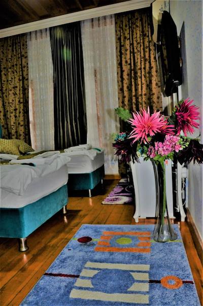 استانبول د تریپ هتل اولد سیتی