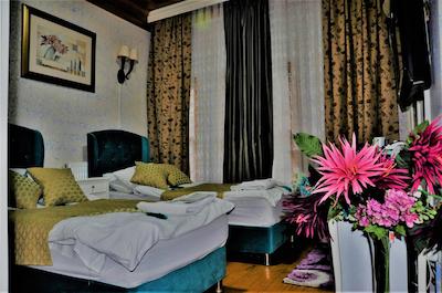 استانبول د تریپ هتل اولد سیتی