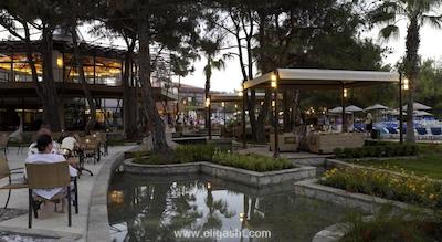 مارتی مایرا کمر