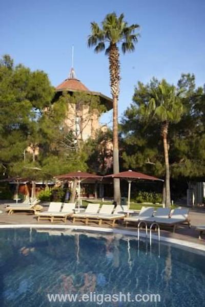 مارتی مایرا کمر